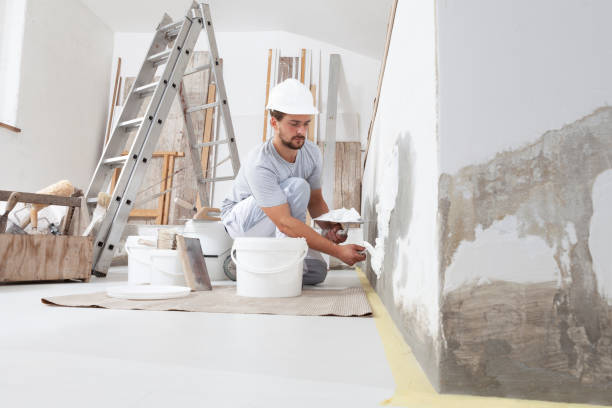 Best Drywall Sanding and Smoothing  in Louise, TX